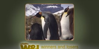 Antarctic EcoTour Part 1