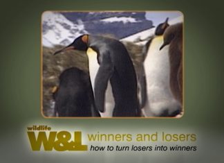 Antarctic EcoTour Part 1