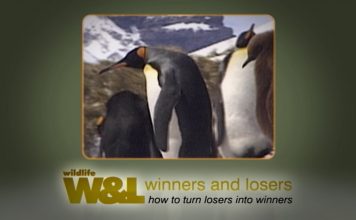 Antarctic EcoTour Part 1