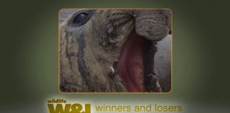 Antarctic EcoTour Part 2