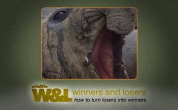 Antarctic EcoTour Part 2