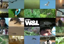 There is still time to save the planet – 3′ promo