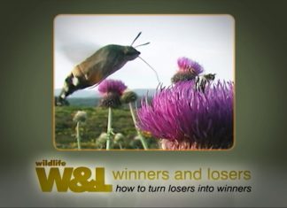 Insects in the Coalmine Part Two