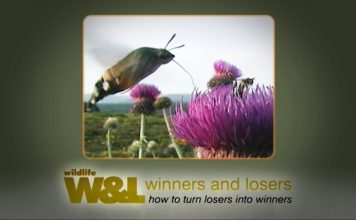 Insects in the Coalmine Part Two