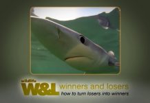 Majorca’s Shark – The TRUTH