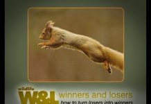 Can We Save The Red?