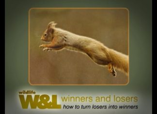 Can We Save The Red?