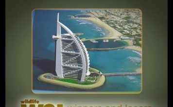 Is Dubai Doomed? Part One