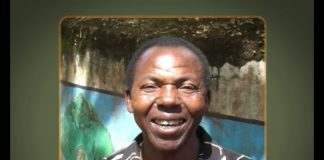 Crowned Crane – Queen of the Marsh – PART 2