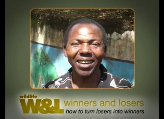 Crowned Crane – Queen of the Marsh – PART 2