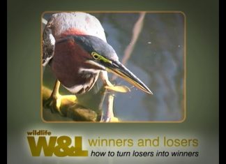 Florida’s Everglades – Part Two – Everglades For Ever?