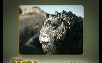 Galapagos NOW Part 1