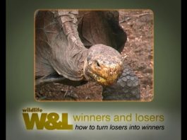 Galapagos NOW Part 2