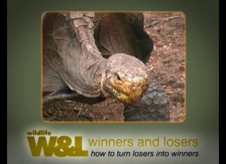 Galapagos NOW Part 2