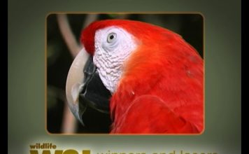 How Really Green Is Costa Rica? Part 2