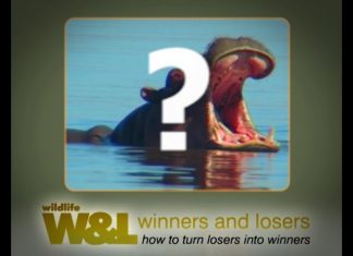 Africa’s Deadliest Animal?