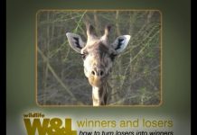 Freshly Squeezed Giraffe – Part 1 Safari to the Lake