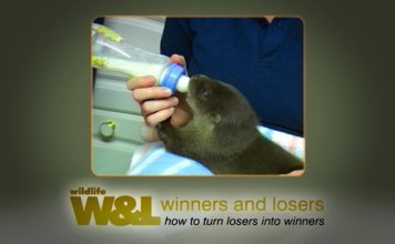 Somerset Trio – Somersets Water Paradise