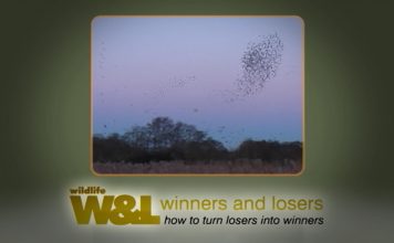 Somerset Trio – Super Somerset