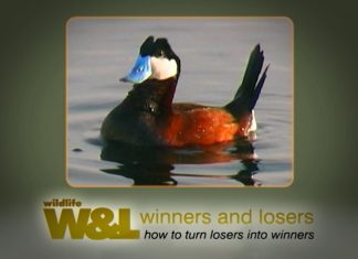 Somerset Trio – Chew Valley Lake