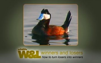 Somerset Trio – Chew Valley Lake