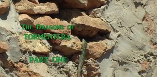 The Dragons of Formentera – PART ONE
