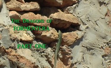 The Dragons of Formentera – PART ONE