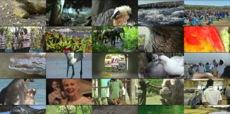 Wildlife Winners and Losers Series Promo – Long Version