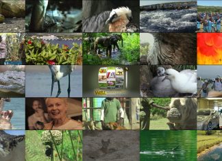 Wildlife Winners and Losers Series Promo – Long Version