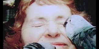 The Worlds Rarest Bird – A Parrot – PROMO