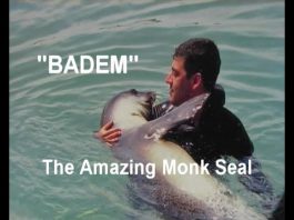 Turkey’s Treasures – Film 2 – BADEM – The Amazing Monk Seal