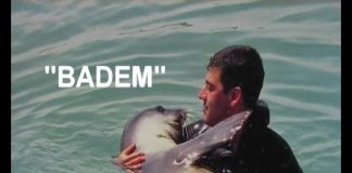 Turkey’s Treasures – Film 2 – BADEM – The Amazing Monk Seal