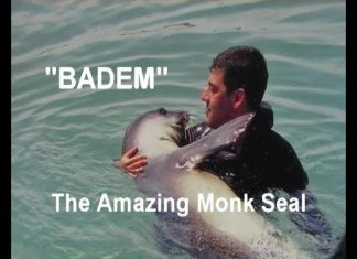 Turkey’s Treasures – Film 2 – BADEM – The Amazing Monk Seal