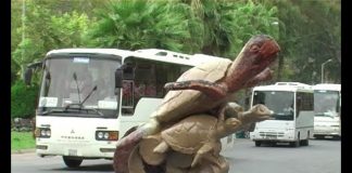 Turkey’s Treasures – Film 4 – Turkey’s Turtles In Trouble