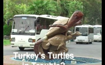 Turkey’s Treasures – Film 4 – Turkey’s Turtles In Trouble