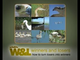 Who’s The Best Fisherman? – PART 1