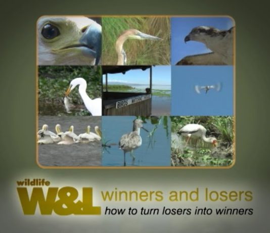 Who’s The Best Fisherman? – PART 1