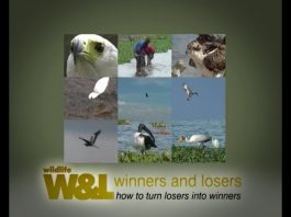 Who’s The Best Fisherman? – PART 2