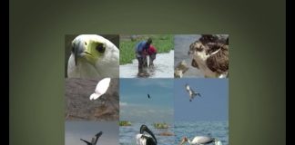 Who’s The Best Fisherman? – PART 2