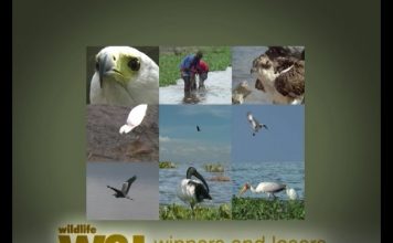 Who’s The Best Fisherman? – PART 2