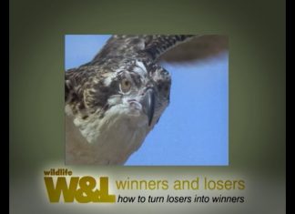 Sugar Not So Sweet or “Killer Sugar”