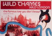 Wild Thames – Wild London: the famous river that you don’t know!
