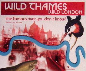 Wild Thames – Wild London: the famous river that you don’t know!
