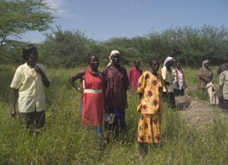 Lake Bogoria and Lake Baringo – Kenya