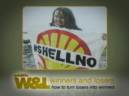 How To Beat The Big Boys