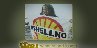 How To Beat The Big Boys