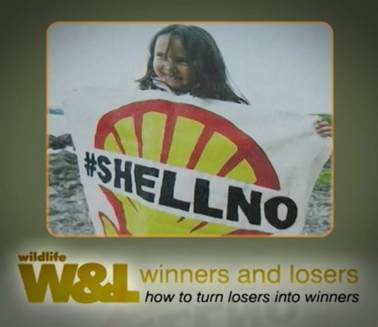 How To Beat The Big Boys