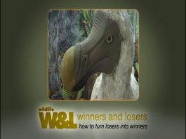 Any More Dodos? – Part Two