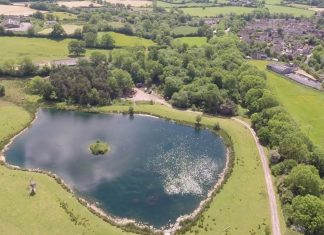 Tale of Two Ponds and Two Tails Too – PROMO