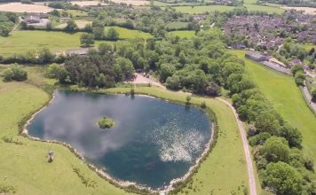 Tale of Two Ponds and Two Tails Too – PROMO